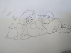 Size: 2592x1944 | Tagged: safe, artist:mr.smile, fluttershy, oc, oc:boulder, earth pony, pegasus, pony, bouldshy, canon x oc, female, lying on top of someone, male, mare, pencil drawing, shipping, sleeping, stallion, straight, traditional art, zzz