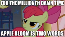 Size: 960x540 | Tagged: safe, edit, edited screencap, screencap, apple bloom, bridle gossip, image macro, meta, solo, vulgar