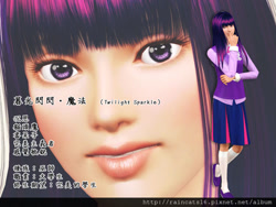 Size: 600x450 | Tagged: safe, artist:raincats16, derpibooru import, twilight sparkle, human, chinese, clothes, humanized, skirt