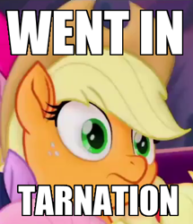 Size: 338x393 | Tagged: safe, edit, edited screencap, screencap, applejack, earth pony, pony, my little pony: the movie, image macro, meme, what in tarnation