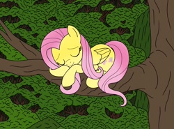 Size: 1200x887 | Tagged: safe, artist:linedraweer, fluttershy, pegasus, pony, commission, cute, eyes closed, folded wings, nap, shyabetes, sleeping, smiling, tree, tree branch