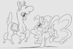 Size: 2750x1860 | Tagged: safe, artist:leadhooves, paprika paca, pinkie pie, alpaca, earth pony, pony, them's fightin' herds, community related, crossover, monochrome