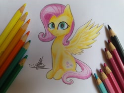 Size: 4128x3096 | Tagged: safe, artist:ironbeastz, fluttershy, pegasus, pony, pencil, sitting, solo, traditional art