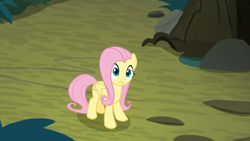 Size: 1920x1080 | Tagged: safe, screencap, fluttershy, pegasus, pony, the mean 6, confused, everfree forest, female, mare