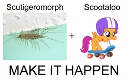 Size: 1100x700 | Tagged: safe, scootaloo, exploitable meme, make it happen, meta, pun, scutigera coleoptrata, scutigeromorph, species swap