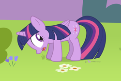 Size: 990x660 | Tagged: safe, artist:dm29, derpibooru import, twilight sparkle, twilight sparkle (alicorn), alicorn, pony, female, frown, grass, grazing, herbivore, horses doing horse things, looking back, mare, open mouth, secret shame, solo, wide eyes