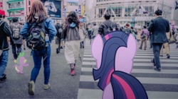 Size: 1280x719 | Tagged: safe, artist:estories, artist:novi-ta, derpibooru import, spike, twilight sparkle, human, crosswalk, irl, japan, photo, ponies in real life, rear view, street, vector