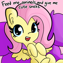 Size: 1650x1650 | Tagged: safe, artist:tjpones, edit, editor:dsp2003, fluttershy, pegasus, pony, aminals, baby, baby pony, bronybait, cute, dialogue, huge head, looking at you, on back, open mouth, shyabetes, solo, wat