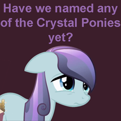 Size: 500x500 | Tagged: safe, sapphire joy, crystal pony, pony, image macro, meta