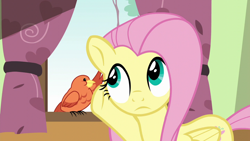 Size: 1280x720 | Tagged: safe, screencap, constance, fluttershy, bird, pegasus, pony, flutter brutter, duo, female, listening, mare, songbird, talking