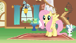 Size: 1680x956 | Tagged: safe, angel bunny, fluttershy, pegasus, pony, explore ponyville, flash game, fluttershy's cottage, looking at you, solo