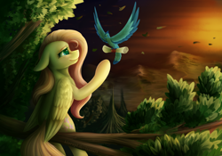 Size: 5000x3500 | Tagged: safe, artist:klarapl, fluttershy, bird, pegasus, pony, female, letter, mare, scroll, smiling, sunset, tree, tree branch