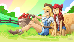 Size: 1920x1080 | Tagged: safe, artist:mysticalpha, apple bloom, applejack, human, apple, basket, bushel basket, female, food, humanized, overalls, sisters