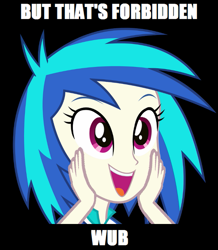 Size: 655x750 | Tagged: safe, dj pon-3, vinyl scratch, equestria girls, forbidden love, image macro, meme, puella magi madoka magica, pun, wub