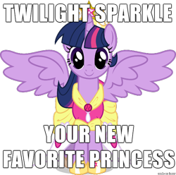 Size: 610x606 | Tagged: safe, derpibooru import, twilight sparkle, twilight sparkle (alicorn), alicorn, pony, best princess, female, image macro, mare, meme, opinion