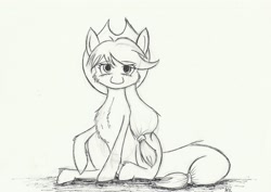 Size: 3440x2432 | Tagged: safe, artist:maneingreen, applejack, earth pony, pony, chest fluff, looking at you, monochrome, simple background, sitting, sketch, smiling, solo, stare, yellow background