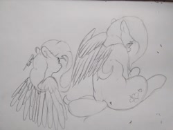 Size: 1280x960 | Tagged: safe, artist:mr.smile, fluttershy, pegasus, pony, looking at you, shy, sitting, traditional art