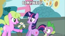 Size: 800x449 | Tagged: safe, derpibooru import, edit, edited screencap, screencap, daisy, flower wishes, spike, twilight sparkle, dragon, the ticket master, flower, image macro, meme, roots, waifu