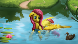 Size: 1920x1080 | Tagged: safe, artist:camyllea, fluttershy, duck, pegasus, pony, female, lilypad, mare, pond, scenery, solo, speedpaint available, swimming, water