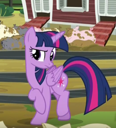 Size: 372x412 | Tagged: safe, derpibooru import, screencap, twilight sparkle, twilight sparkle (alicorn), alicorn, pony, applejack's "day" off, solo