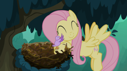 Size: 1920x1080 | Tagged: safe, screencap, fluttershy, bird, pegasus, pony, the mean 6, cute, eyes closed, female, flying, mare, nest, shyabetes, smiling, solo, tree, tree branch