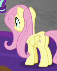 Size: 253x313 | Tagged: safe, screencap, fluttershy, pegasus, pony, the mean 6, cropped, plot