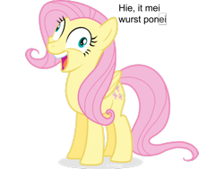 Size: 960x720 | Tagged: safe, fluttershy, pegasus, pony, background pony strikes again, derp, dialogue, downvote bait, exploitable meme, i didn't listen, image macro, meme, op is a cuck, op is trying to start shit so badly that it's kinda funny, simple background, solo, transparent background, worst pony