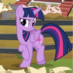 Size: 450x451 | Tagged: safe, derpibooru import, screencap, twilight sparkle, twilight sparkle (alicorn), alicorn, pig, pony, applejack's "day" off, female, mare, scroll, solo