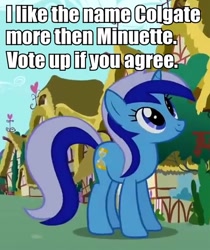 Size: 684x816 | Tagged: safe, minuette, unicorn, female, horn, image macro, mare, meta, solo, vote