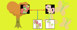 Size: 1427x557 | Tagged: safe, artist:alphamonouryuuken, artist:kianamai, fluttershy, tree hugger, oc, oc:anthea, oc:flower crown, pegasus, pony, cutie mark, family tree, kilalaverse, kilalaverse ii, magical lesbian spawn, next generation, offspring, parent:fluttershy, parent:tree hugger, parents:flutterhugger, story included