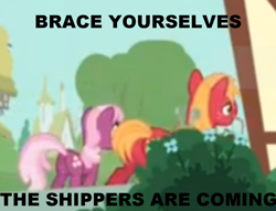 Size: 1000x764 | Tagged: safe, big macintosh, cheerilee, earth pony, pony, just for sidekicks, brace yourselves, cheerimac, male, meta, ponies standing next to each other, shipping, slowpoke, stallion