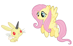 Size: 880x552 | Tagged: safe, fluttershy, pegasus, pony, rabbit, almiraj, simple background, this will end in tears and/or death, white background