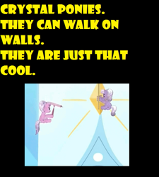 Size: 625x695 | Tagged: safe, screencap, crystal pony, pony, meta, yellow words