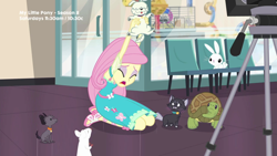 Size: 1280x720 | Tagged: safe, screencap, angel bunny, fluttershy, cat, dog, turtle, better together, equestria girls, outtakes (episode), feet, pup-pup, sandals