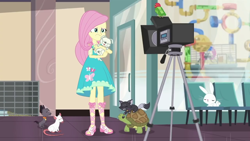 Size: 1280x720 | Tagged: safe, screencap, angel bunny, fluttershy, cat, dog, turtle, better together, equestria girls, outtakes (episode), pup-pup, sandals