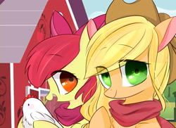 Size: 3656x2665 | Tagged: safe, artist:lity, apple bloom, applejack, chicken, earth pony, pony, clothes, duo, holding, looking at you, scarf