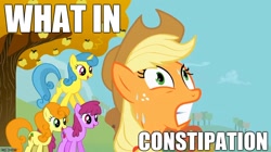 Size: 888x499 | Tagged: safe, applejack, berry punch, berryshine, carrot top, golden harvest, lemon hearts, earth pony, pony, constipated, constipation, image macro, meme, reaction image, what in tarnation