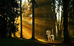 Size: 1280x800 | Tagged: safe, artist:pablomen13, artist:proenix, applejack, pony, crepuscular rays, forest, irl, photo, ponies in real life, solo, sun ray, vector