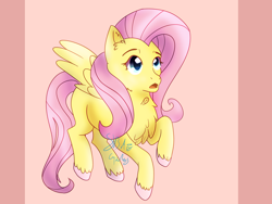 Size: 3264x2448 | Tagged: safe, artist:8bitgalaxy, fluttershy, pegasus, pony, female, mare, simple background, solo