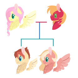 Size: 1092x1092 | Tagged: safe, artist:onedayhm, big macintosh, fluttershy, oc, oc:honeycrisp, oc:plumeria breeze, earth pony, pegasus, pony, alternate hairstyle, base used, beard, braid, chest fluff, facial hair, family tree, female, fluttermac, freckles, male, mare, offspring, parent:big macintosh, parent:fluttershy, parents:fluttermac, scar, shipping, simple background, stallion, straight, torn ear, white background