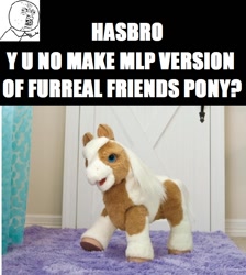 Size: 720x802 | Tagged: safe, barely pony related, fur-real, furreal, furreal friends, hasbro, meme, meta, toy, y u no