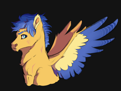 Size: 4000x3000 | Tagged: safe, artist:venommocity, flash sentry, pony, bust, portrait, solo, two toned wings, wings