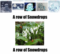 Size: 1334x1200 | Tagged: safe, oc, oc only, oc:snowdrop, derpibooru, exploitable meme, juxtaposition, juxtaposition win, meme, meta, photo, plant, pun