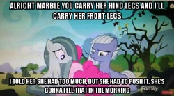 Size: 480x264 | Tagged: safe, edit, edited screencap, screencap, limestone pie, marble pie, pinkie pie, earth pony, pony, the maud couple, exploitable meme, female, image macro, mare, meme, rock farm, text