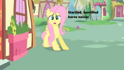 Size: 1280x720 | Tagged: safe, edit, edited screencap, screencap, fluttershy, pegasus, pony, green isn't your color, season 1, descriptive noise, horrified, horse noises, oh crap, oh crap face, open mouth, ponyville, scared, solo, startled, text