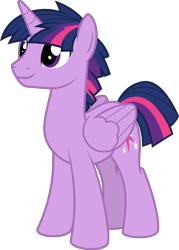 Size: 4296x6000 | Tagged: safe, artist:magister39, derpibooru import, dusk shine, prince dusk, twilight sparkle, twilight sparkle (alicorn), alicorn, pony, absurd resolution, cute, duskabetes, folded wings, inkscape, male, rule 63, rule63betes, simple background, solo, stallion, transparent background, vector