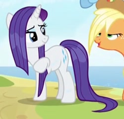 Size: 524x503 | Tagged: safe, screencap, applejack, rarity, earth pony, pony, unicorn, campfire tales, cropped, wet, wet mane, wet mane rarity