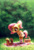 Size: 1535x2244 | Tagged: safe, artist:holivi, fluttershy, anthro, pegasus, plantigrade anthro, squirrel, basket, blanket, clothes, cute, dawwww, female, filly, filly fluttershy, grass, hands on knees, holivi is trying to murder us, looking at each other, miniskirt, outdoors, picnic blanket, ponytail, shoes, shyabetes, skirt, socks, solo, tree, weapons-grade cute, younger