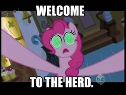 Size: 600x450 | Tagged: safe, screencap, pinkie pie, earth pony, pony, artifact, hub logo, image macro, meme