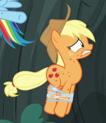 Size: 275x319 | Tagged: safe, screencap, applejack, earth pony, pony, campfire tales, cropped, fly-der bite, tied up